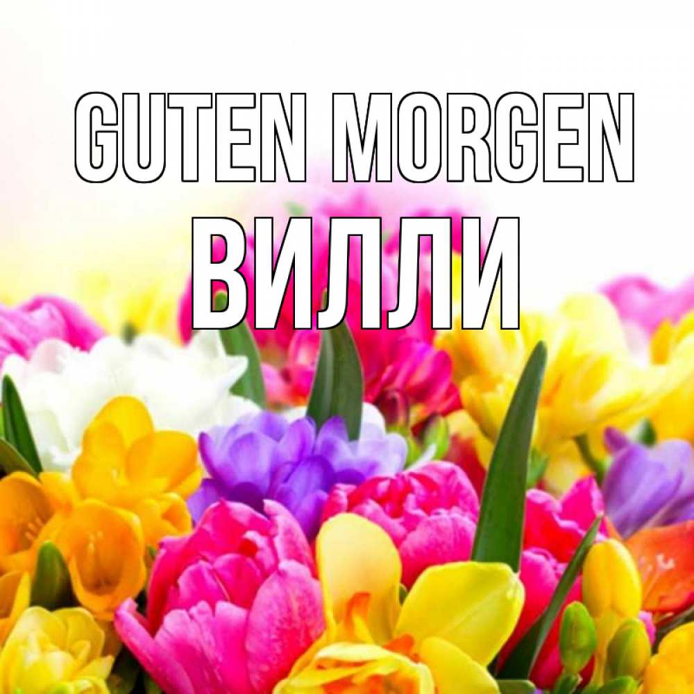 Открытка на каждый день с именем, Вилли Guten Morgen создать открытку со свое подписью Прикольная открытка с пожеланием онлайн скачать бесплатно 
