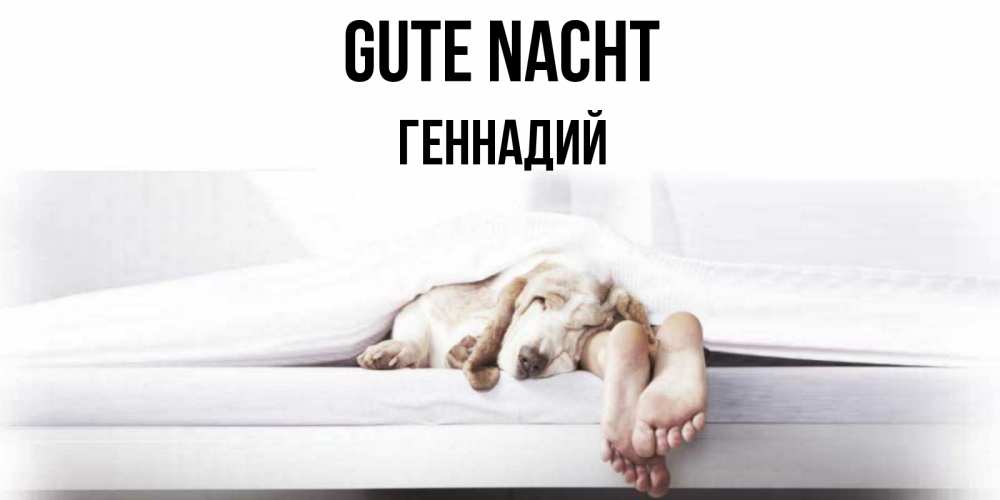 Открытка на каждый день с именем, Геннадий Gute Nacht кровать с собакой пожелание сладких снов и спокойной ночи Прикольная открытка с пожеланием онлайн скачать бесплатно 