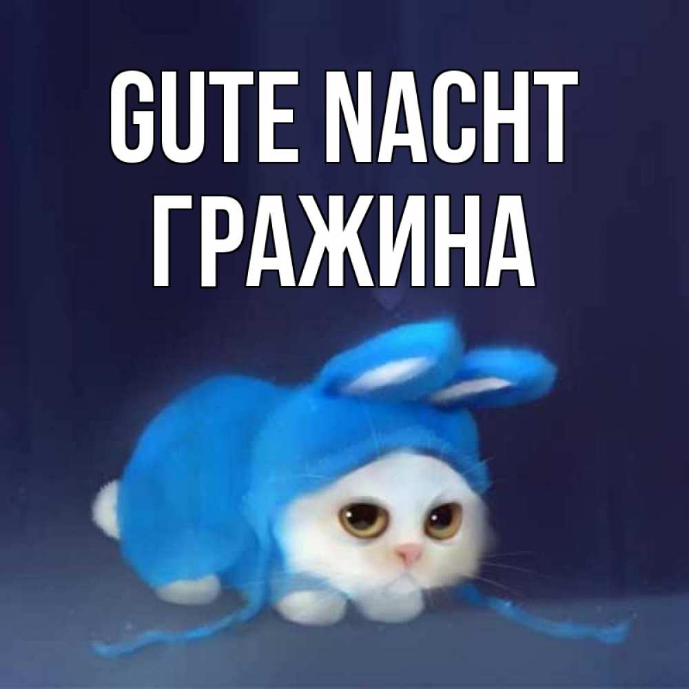 Открытка на каждый день с именем, Гражина Gute Nacht кот в голубом костюме кролика с ушками Прикольная открытка с пожеланием онлайн скачать бесплатно 