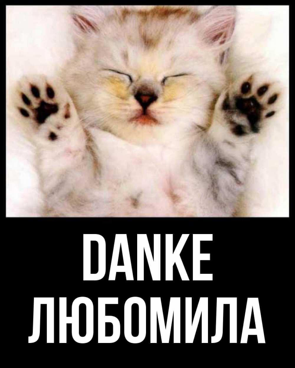 Открытка на каждый день с именем, Любомила Danke маленький котенок Прикольная открытка с пожеланием онлайн скачать бесплатно 
