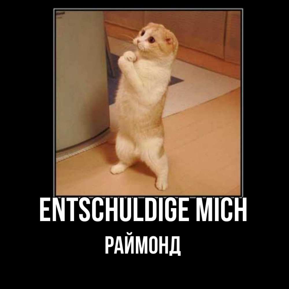 Открытка на каждый день с именем, Раймонд Entschuldige mich открытка с милым несчастным котиком просящим прощения Прикольная открытка с пожеланием онлайн скачать бесплатно 