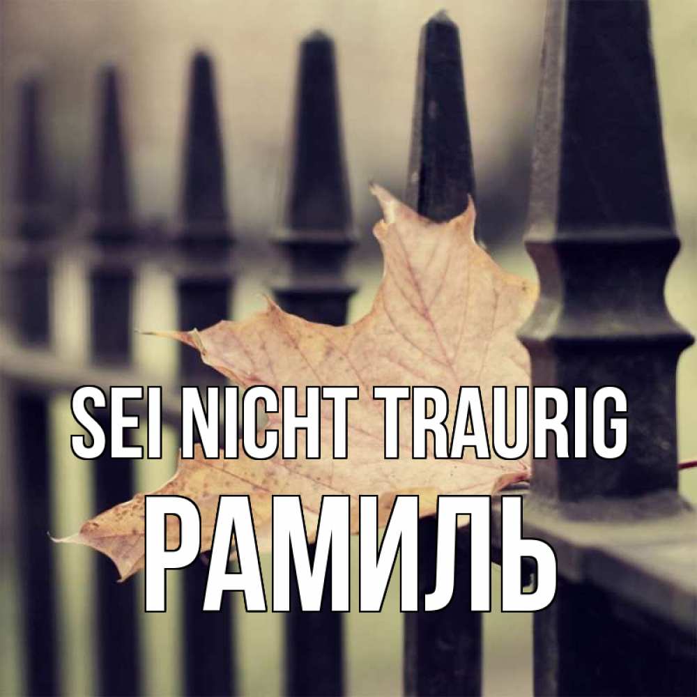Открытка на каждый день с именем, Рамиль Sei nicht traurig лист клена Прикольная открытка с пожеланием онлайн скачать бесплатно 