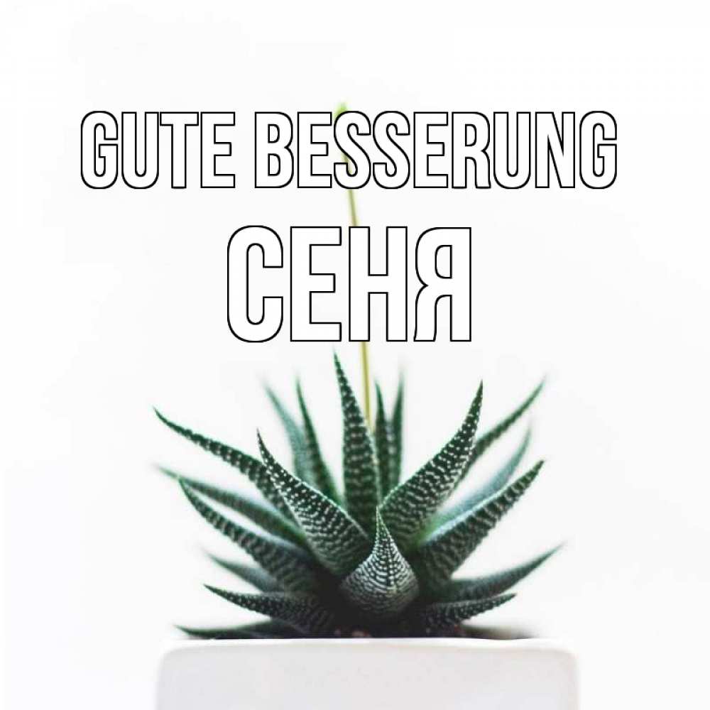 Открытка на каждый день с именем, Сеня Gute Besserung короче это непонятная колючка Прикольная открытка с пожеланием онлайн скачать бесплатно 