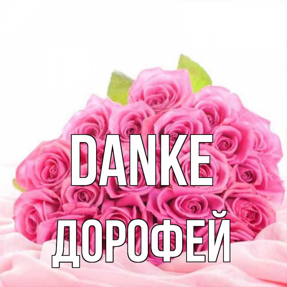 Открытка на каждый день с именем, Дорофей Danke розовые розы с подписью Прикольная открытка с пожеланием онлайн скачать бесплатно 