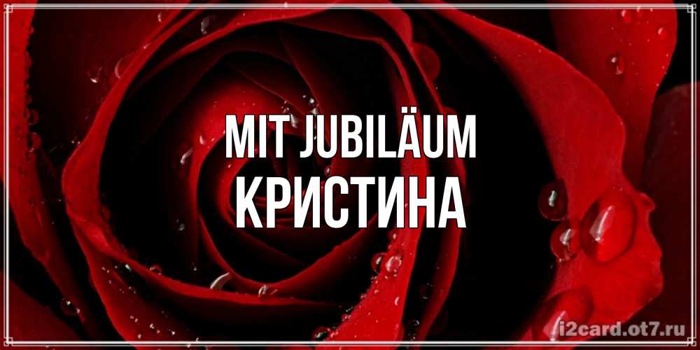 Открытка на каждый день с именем, Кристина Mit Jubiläum крупная бордовая роза Прикольная открытка с пожеланием онлайн скачать бесплатно 