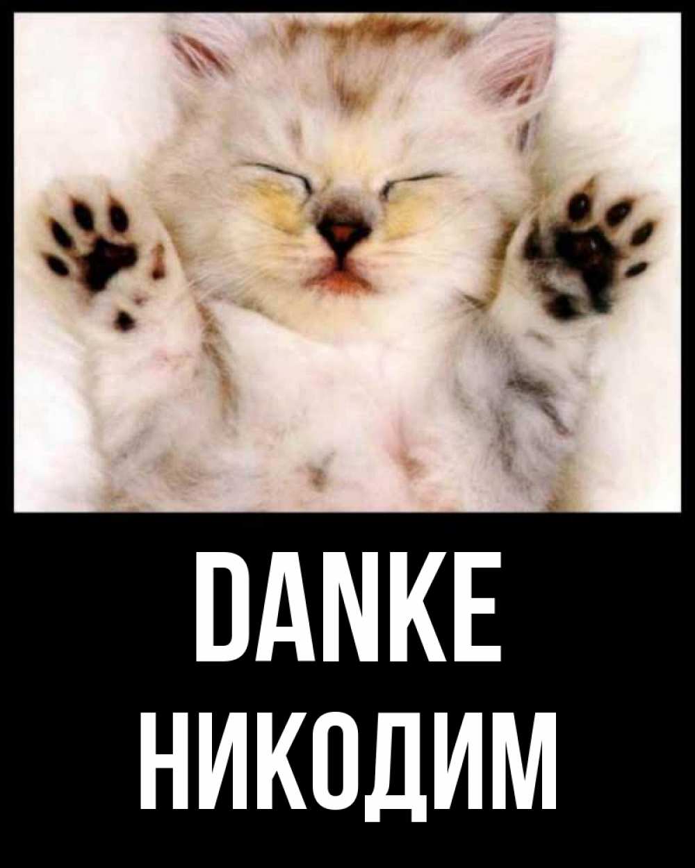 Открытка на каждый день с именем, Никодим Danke маленький котенок Прикольная открытка с пожеланием онлайн скачать бесплатно 