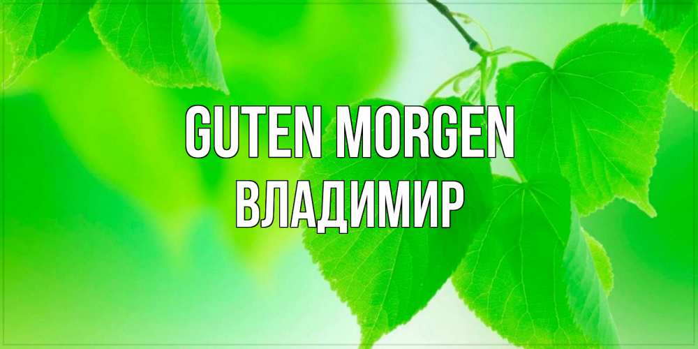 Открытка на каждый день с именем, Владимир Guten Morgen доброе утро с березовыми листьями Прикольная открытка с пожеланием онлайн скачать бесплатно 