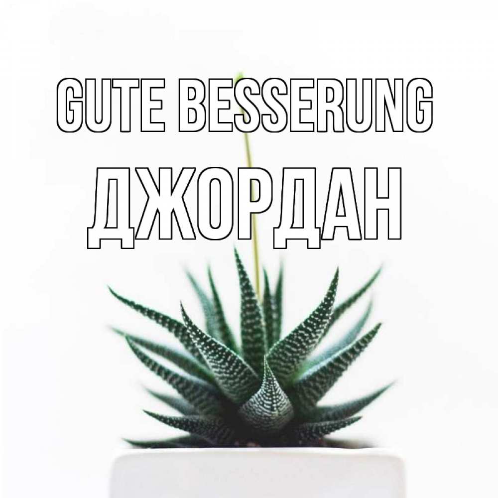Открытка на каждый день с именем, Джордан Gute Besserung короче это непонятная колючка Прикольная открытка с пожеланием онлайн скачать бесплатно 