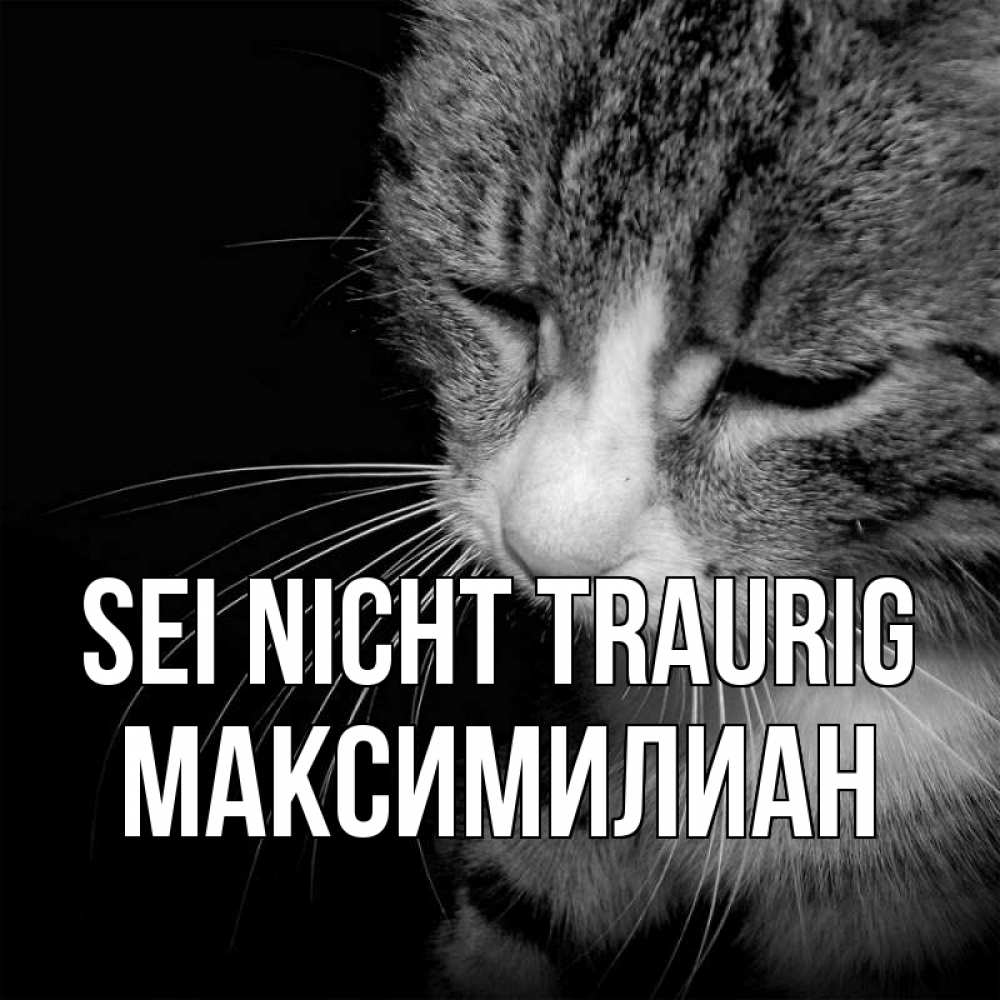 Открытка на каждый день с именем, Максимилиан Sei nicht traurig грустный котик Прикольная открытка с пожеланием онлайн скачать бесплатно 