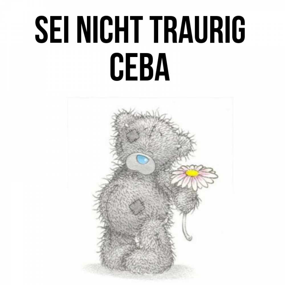 Открытка на каждый день с именем, Сева Sei nicht traurig Плюшевый медвежонок с заплатками Прикольная открытка с пожеланием онлайн скачать бесплатно 