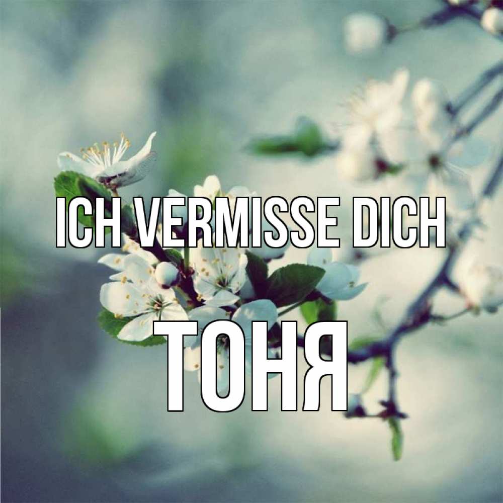 Открытка на каждый день с именем, Тоня Ich vermisse dich весна Прикольная открытка с пожеланием онлайн скачать бесплатно 