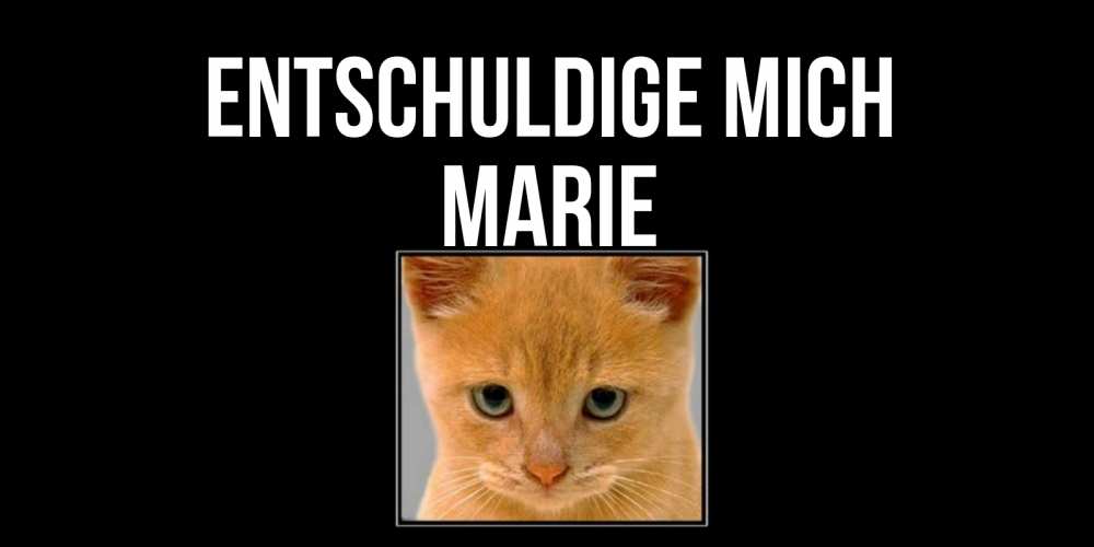 Открытка на каждый день с именем, Marie Entschuldige mich рыжий грустный кот просит прощения Прикольная открытка с пожеланием онлайн скачать бесплатно 