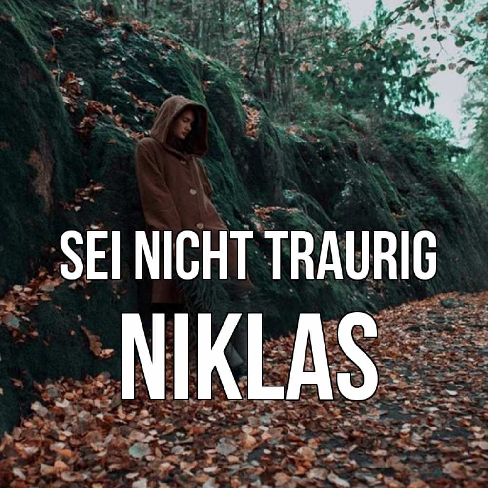 Открытка на каждый день с именем, Niklas Sei nicht traurig осенний лес Прикольная открытка с пожеланием онлайн скачать бесплатно 