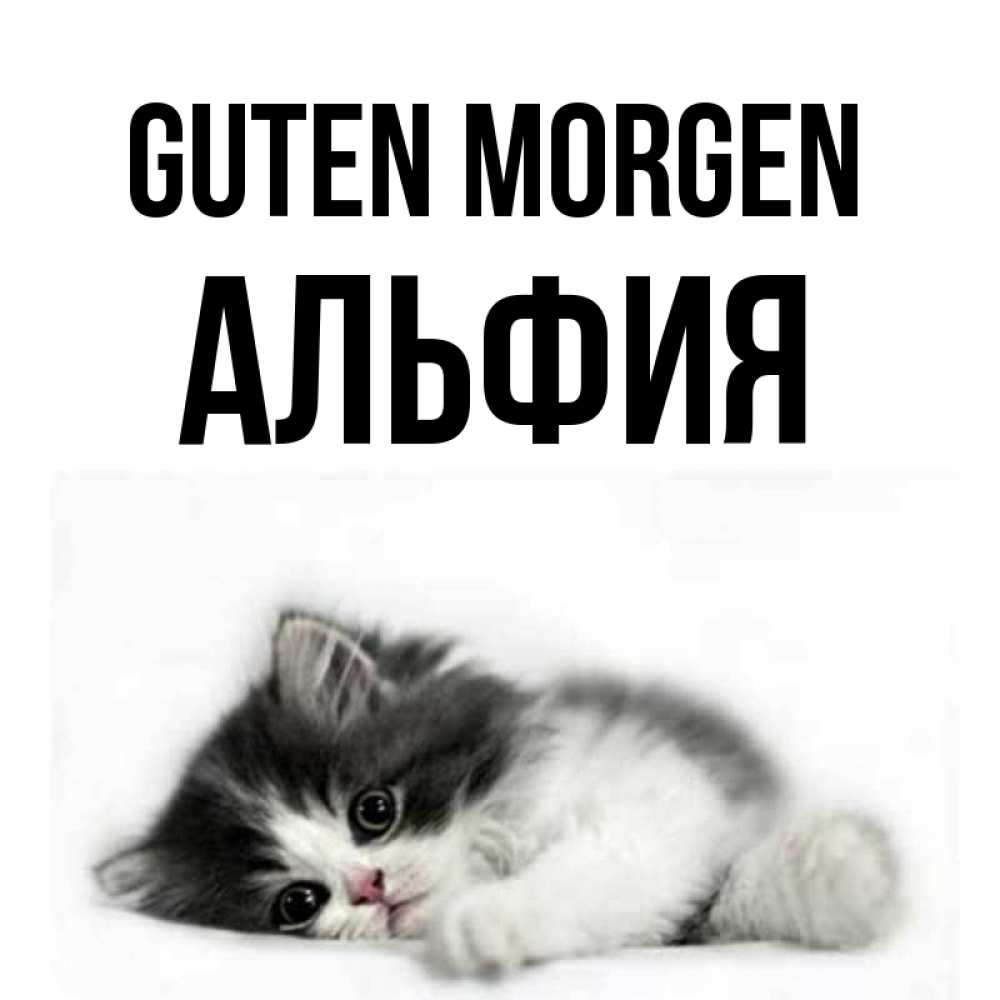 Открытка на каждый день с именем, Альфия Guten Morgen кот лапки Прикольная открытка с пожеланием онлайн скачать бесплатно 