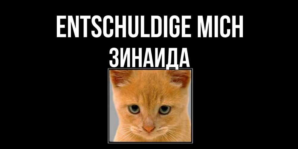 Открытка на каждый день с именем, Зинаида Entschuldige mich рыжий грустный кот просит прощения Прикольная открытка с пожеланием онлайн скачать бесплатно 