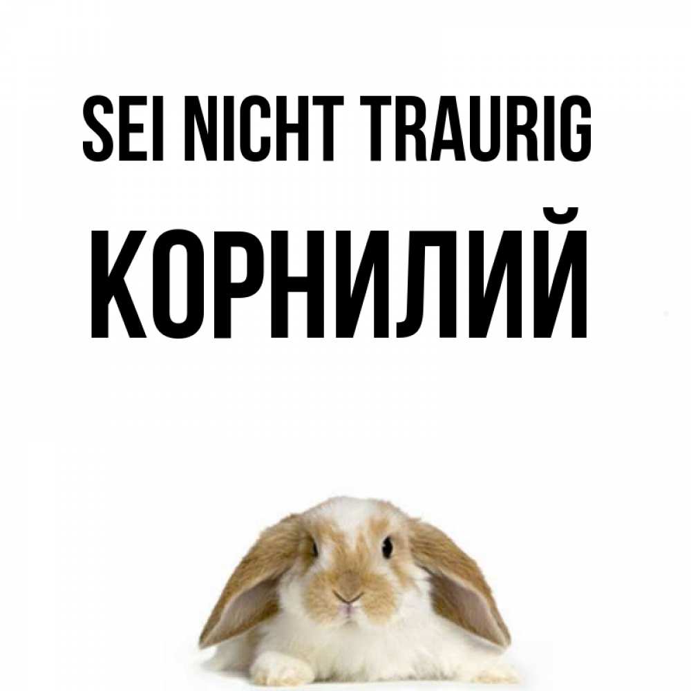 Открытка на каждый день с именем, Корнилий Sei nicht traurig коричнево белый заяц с большими ушками Прикольная открытка с пожеланием онлайн скачать бесплатно 