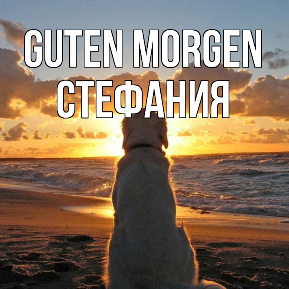 Открытка на каждый день с именем, Стефания Guten Morgen восход солнца Прикольная открытка с пожеланием онлайн скачать бесплатно 