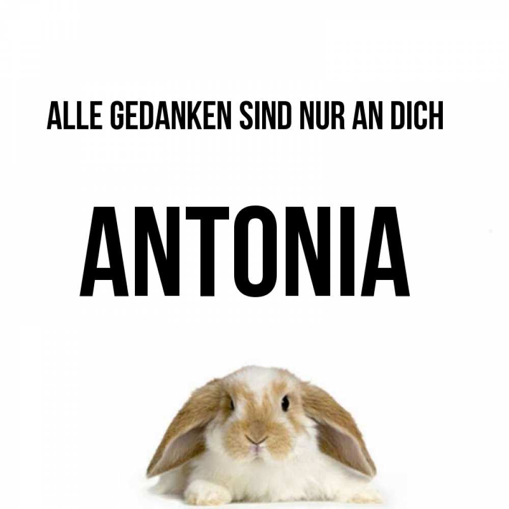 Открытка на каждый день с именем, Antonia Alle Gedanken sind nur an dich подписать своими руками онлайн Прикольная открытка с пожеланием онлайн скачать бесплатно 