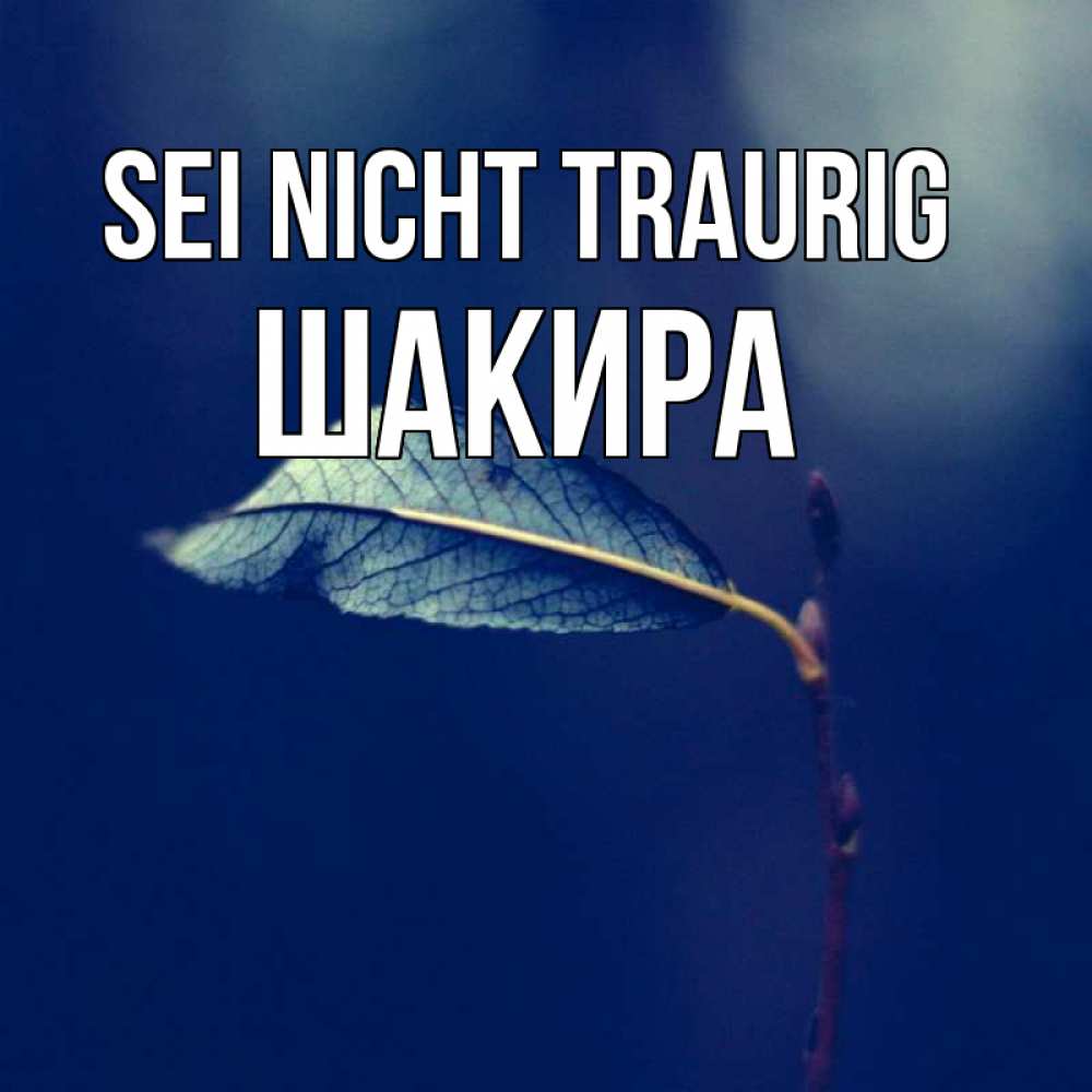 Открытка на каждый день с именем, Шакира Sei nicht traurig растение Прикольная открытка с пожеланием онлайн скачать бесплатно 