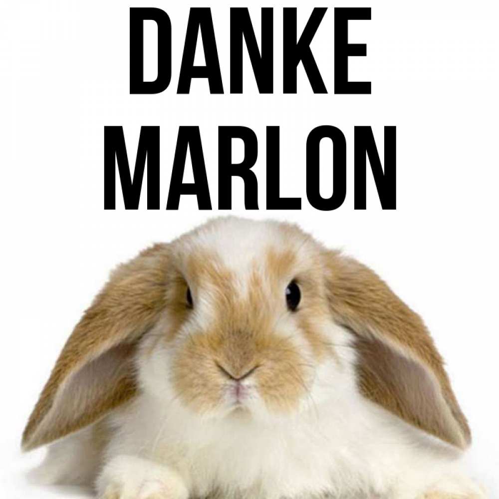 Открытка на каждый день с именем, Marlon Danke коричнево белый заяц Прикольная открытка с пожеланием онлайн скачать бесплатно 