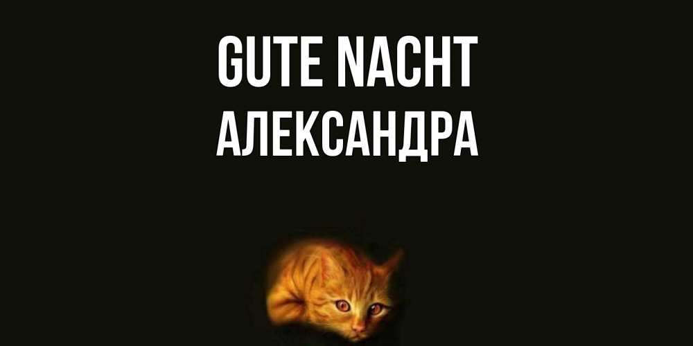 Открытка на каждый день с именем, Александра Gute Nacht кот Прикольная открытка с пожеланием онлайн скачать бесплатно 