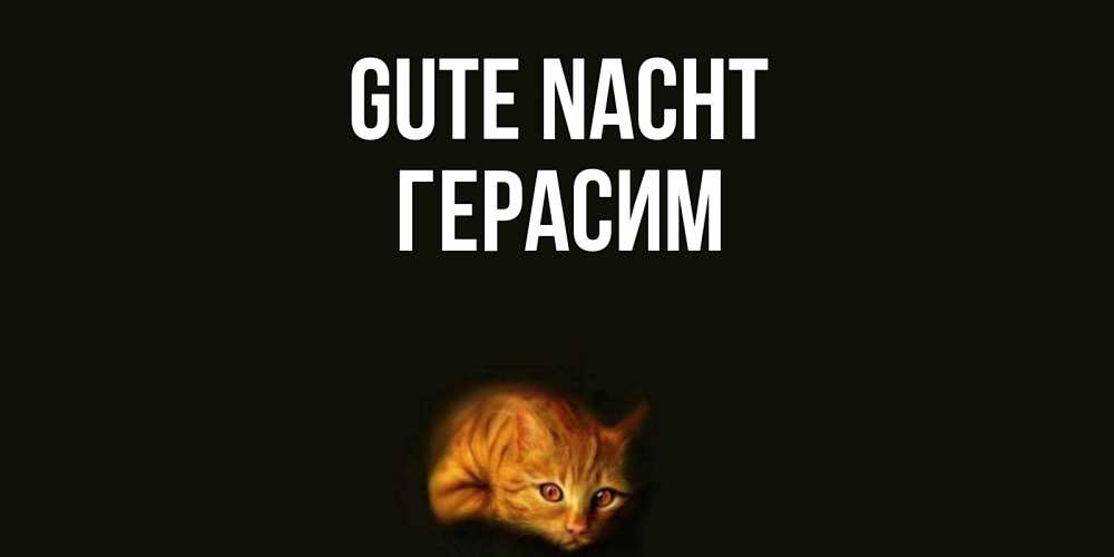 Открытка на каждый день с именем, Герасим Gute Nacht кот Прикольная открытка с пожеланием онлайн скачать бесплатно 
