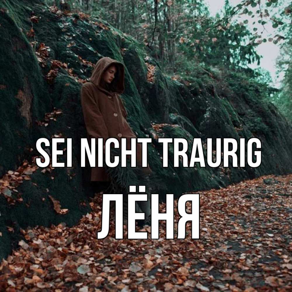 Открытка на каждый день с именем, Лёня Sei nicht traurig осенний лес Прикольная открытка с пожеланием онлайн скачать бесплатно 