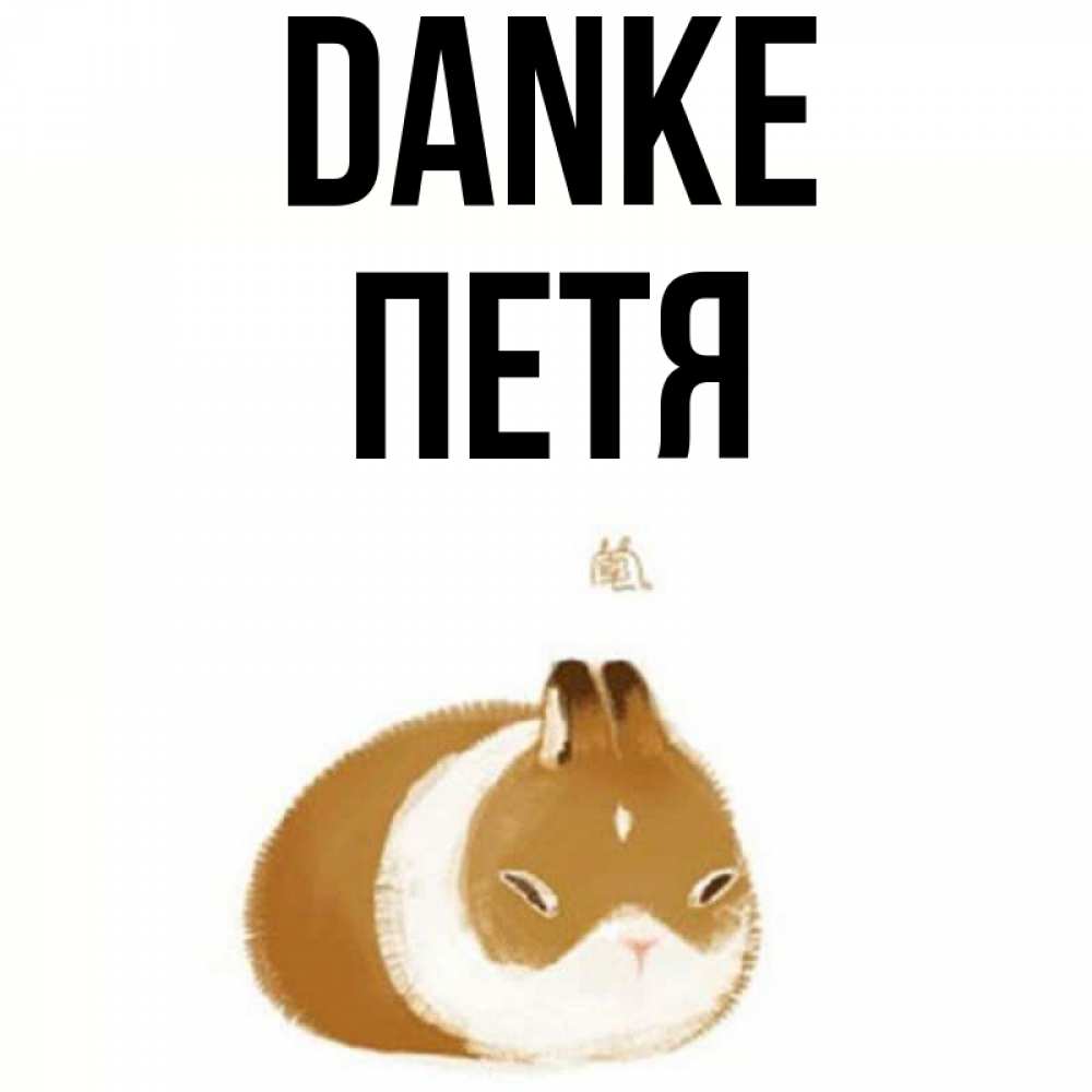 Открытка на каждый день с именем, Петя Danke коричнево белый домашний питомец Прикольная открытка с пожеланием онлайн скачать бесплатно 