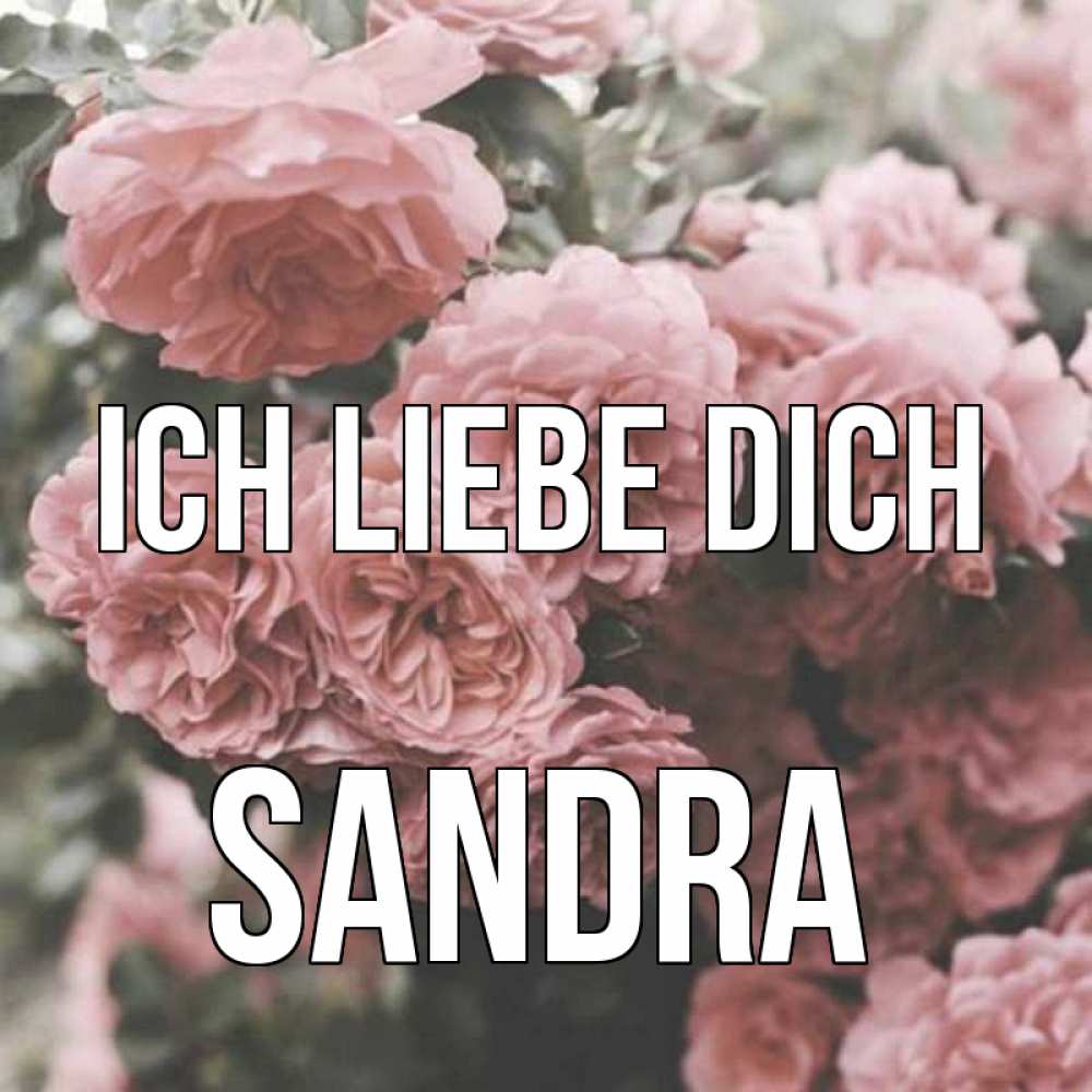Открытка на каждый день с именем, Sandra Ich liebe dich розы 3 Прикольная открытка с пожеланием онлайн скачать бесплатно 