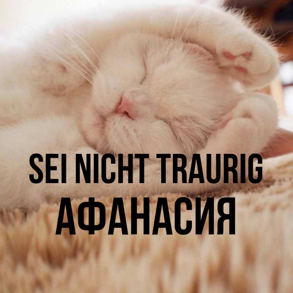 Открытка на каждый день с именем, Афанасия Sei nicht traurig Котенок спит Прикольная открытка с пожеланием онлайн скачать бесплатно 