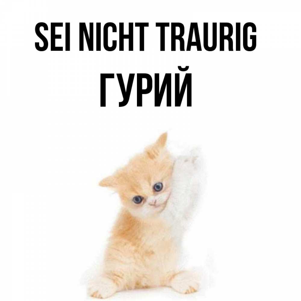 Открытка на каждый день с именем, Гурий Sei nicht traurig просящий кот Прикольная открытка с пожеланием онлайн скачать бесплатно 