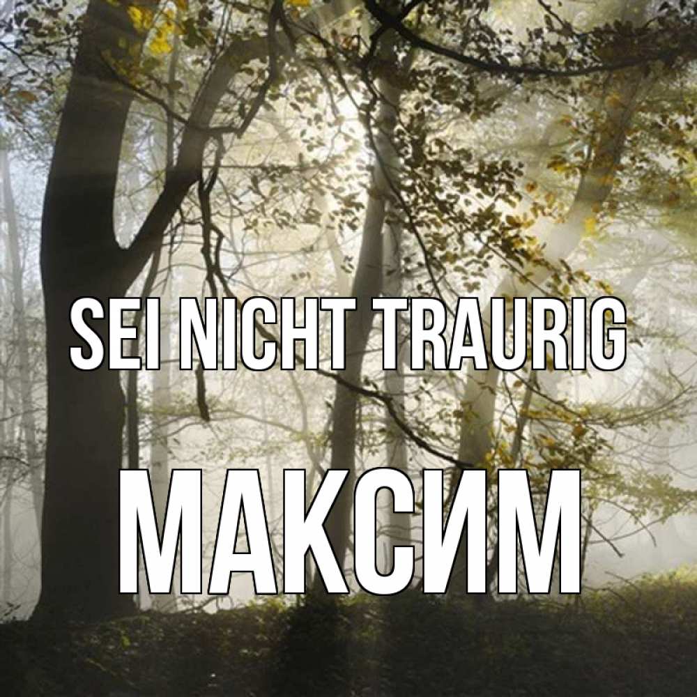 Открытка на каждый день с именем, Максим Sei nicht traurig лес и свет Прикольная открытка с пожеланием онлайн скачать бесплатно 