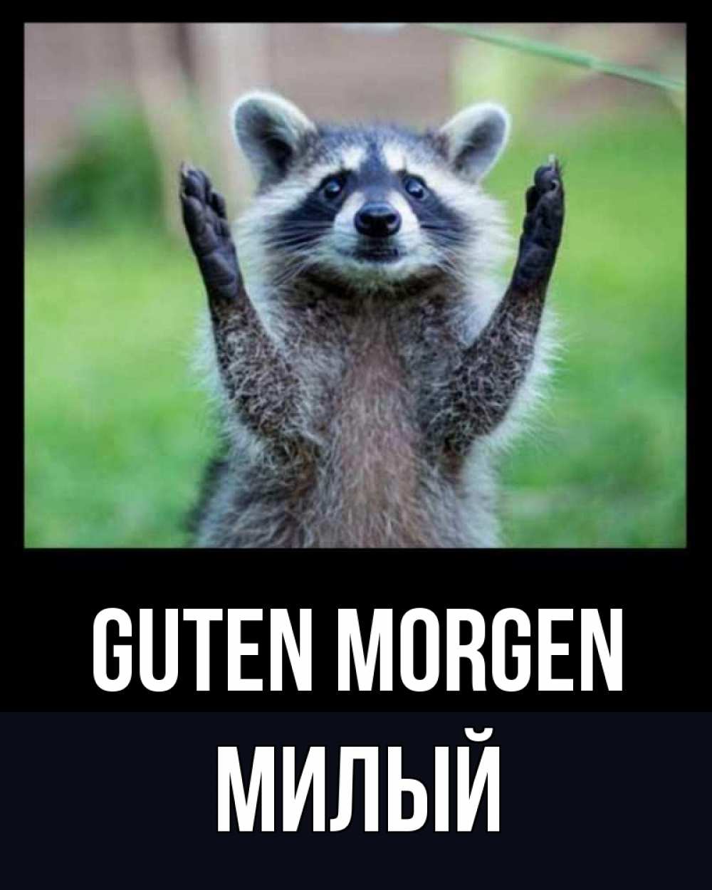 Открытка на каждый день с именем, Милый Guten Morgen хорошее настроение утречком Прикольная открытка с пожеланием онлайн скачать бесплатно 