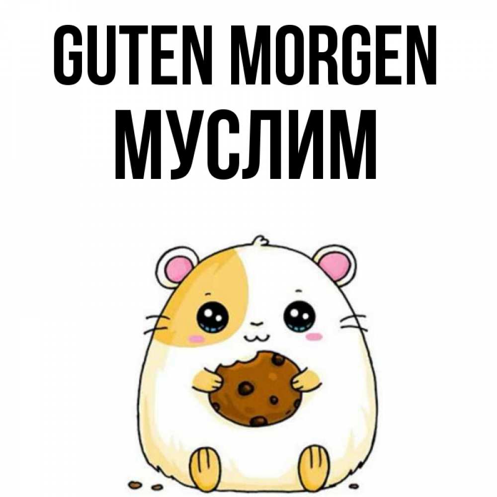 Открытка на каждый день с именем, Муслим Guten Morgen есть печеньку. Утречко Прикольная открытка с пожеланием онлайн скачать бесплатно 