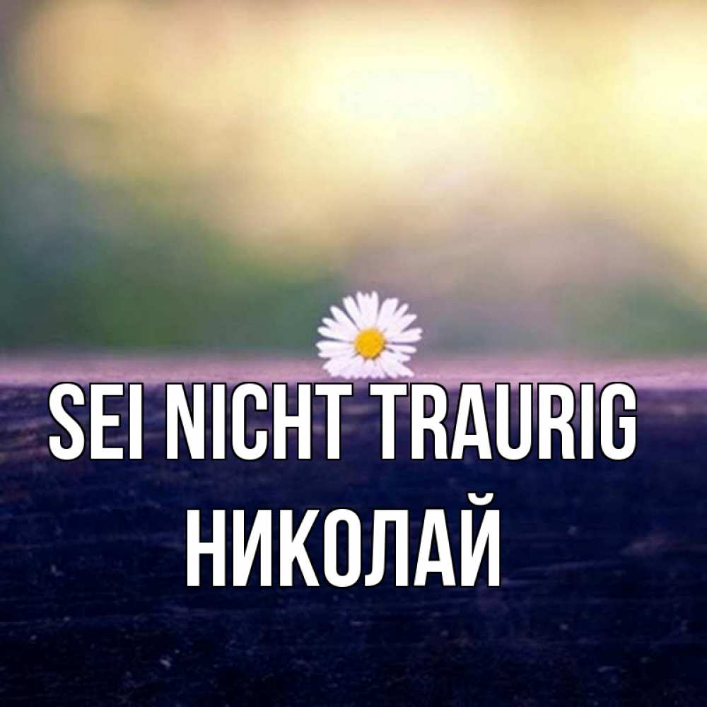Открытка на каждый день с именем, Николай Sei nicht traurig красота Прикольная открытка с пожеланием онлайн скачать бесплатно 