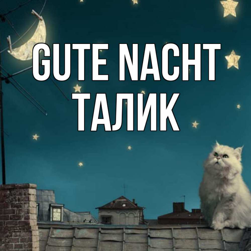 Открытка на каждый день с именем, Талик Gute Nacht белый кот сидит на крыше Прикольная открытка с пожеланием онлайн скачать бесплатно 