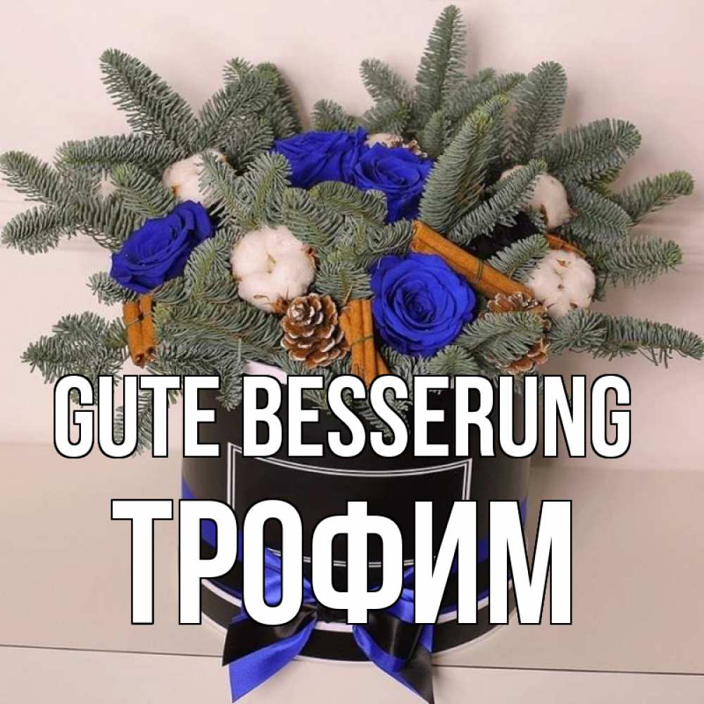 Открытка на каждый день с именем, Трофим Gute Besserung короче кто то загрузил эти шишки Прикольная открытка с пожеланием онлайн скачать бесплатно 