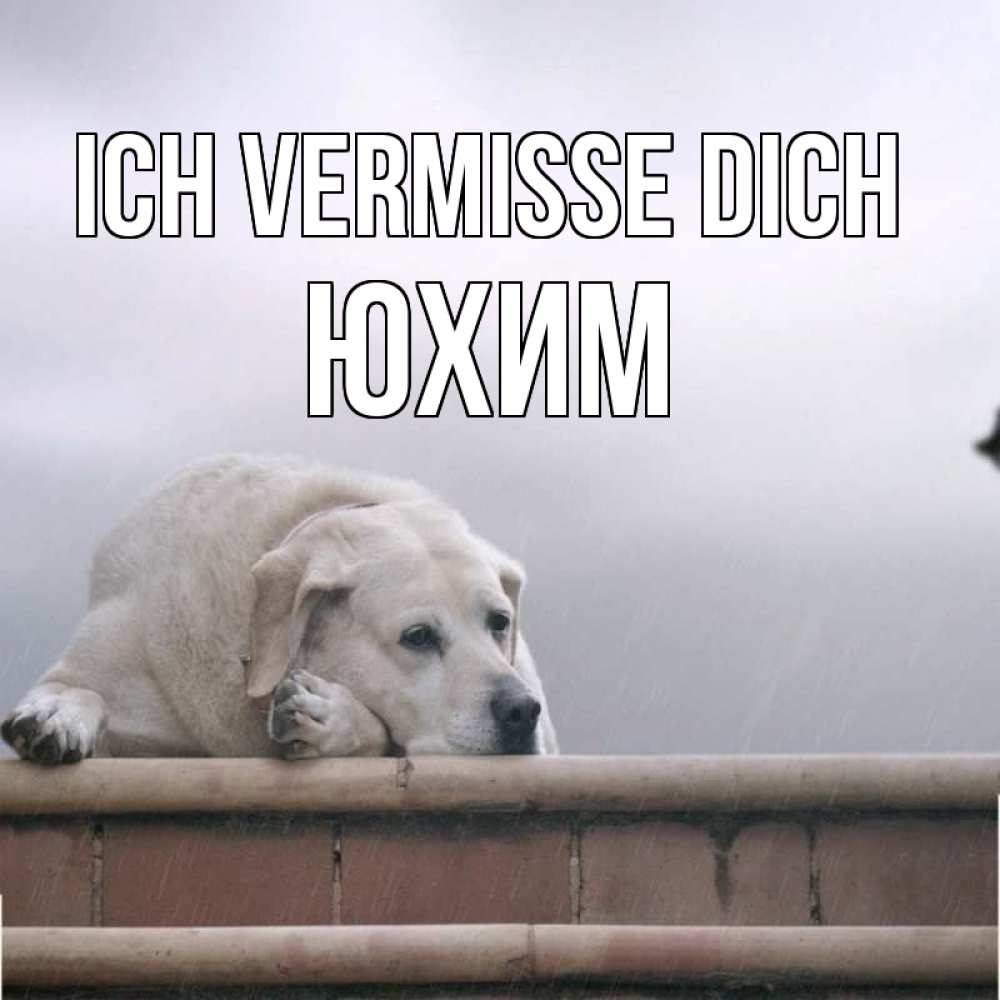 Открытка на каждый день с именем, Юхим Ich vermisse dich ждет Прикольная открытка с пожеланием онлайн скачать бесплатно 