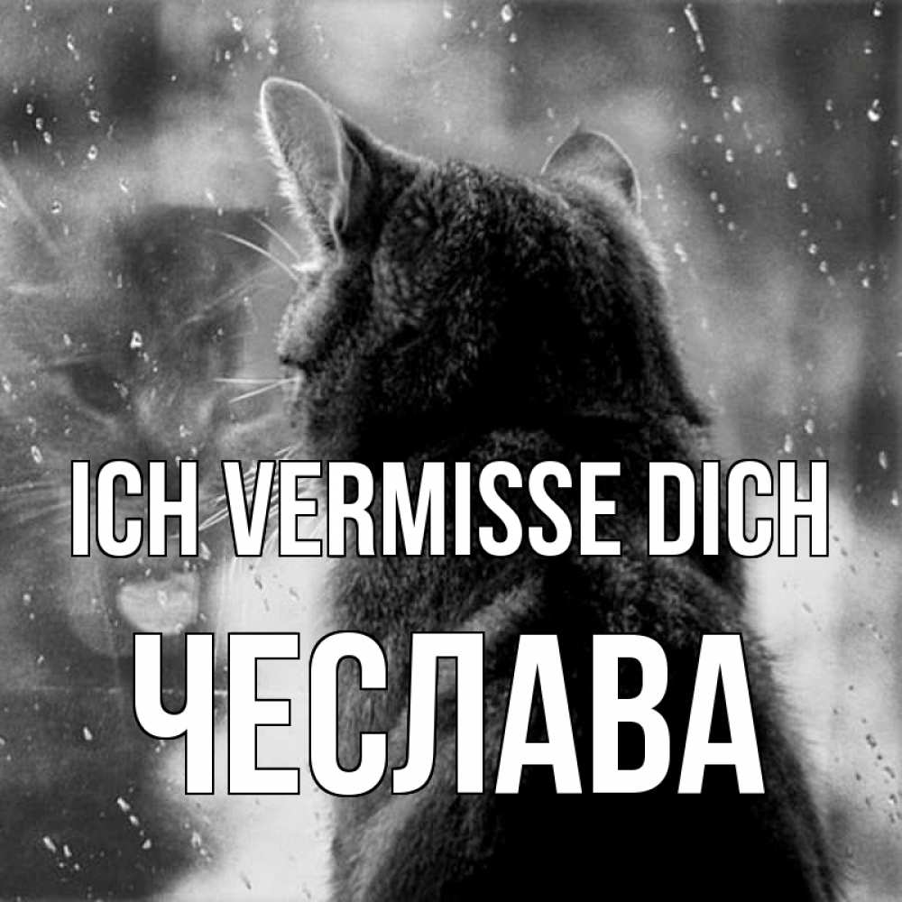 Открытка на каждый день с именем, Чеслава Ich vermisse dich скорее ко мне приходи 1 Прикольная открытка с пожеланием онлайн скачать бесплатно 