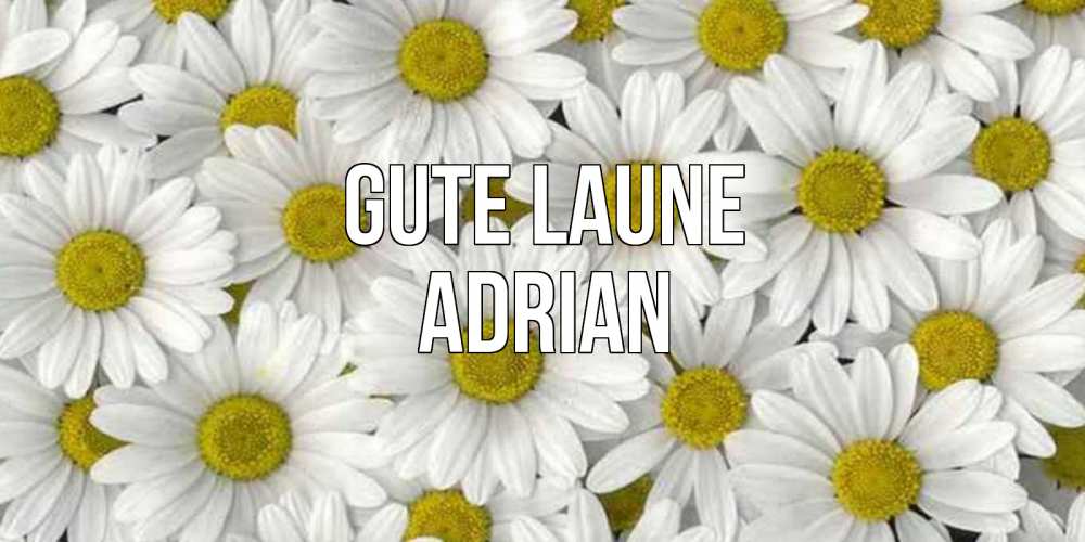 Открытка на каждый день с именем, Adrian Gute Laune поляна ромашек Прикольная открытка с пожеланием онлайн скачать бесплатно 