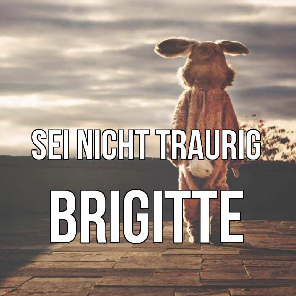 Открытка на каждый день с именем, Brigitte Sei nicht traurig со спины Прикольная открытка с пожеланием онлайн скачать бесплатно 