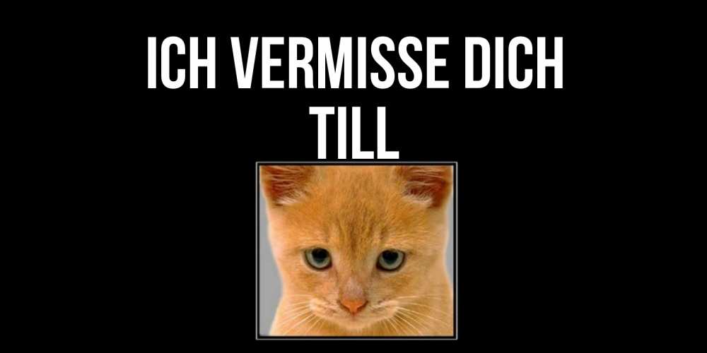 Открытка на каждый день с именем, Till Ich vermisse dich открытки рыжий котенок скучает по тебе Прикольная открытка с пожеланием онлайн скачать бесплатно 