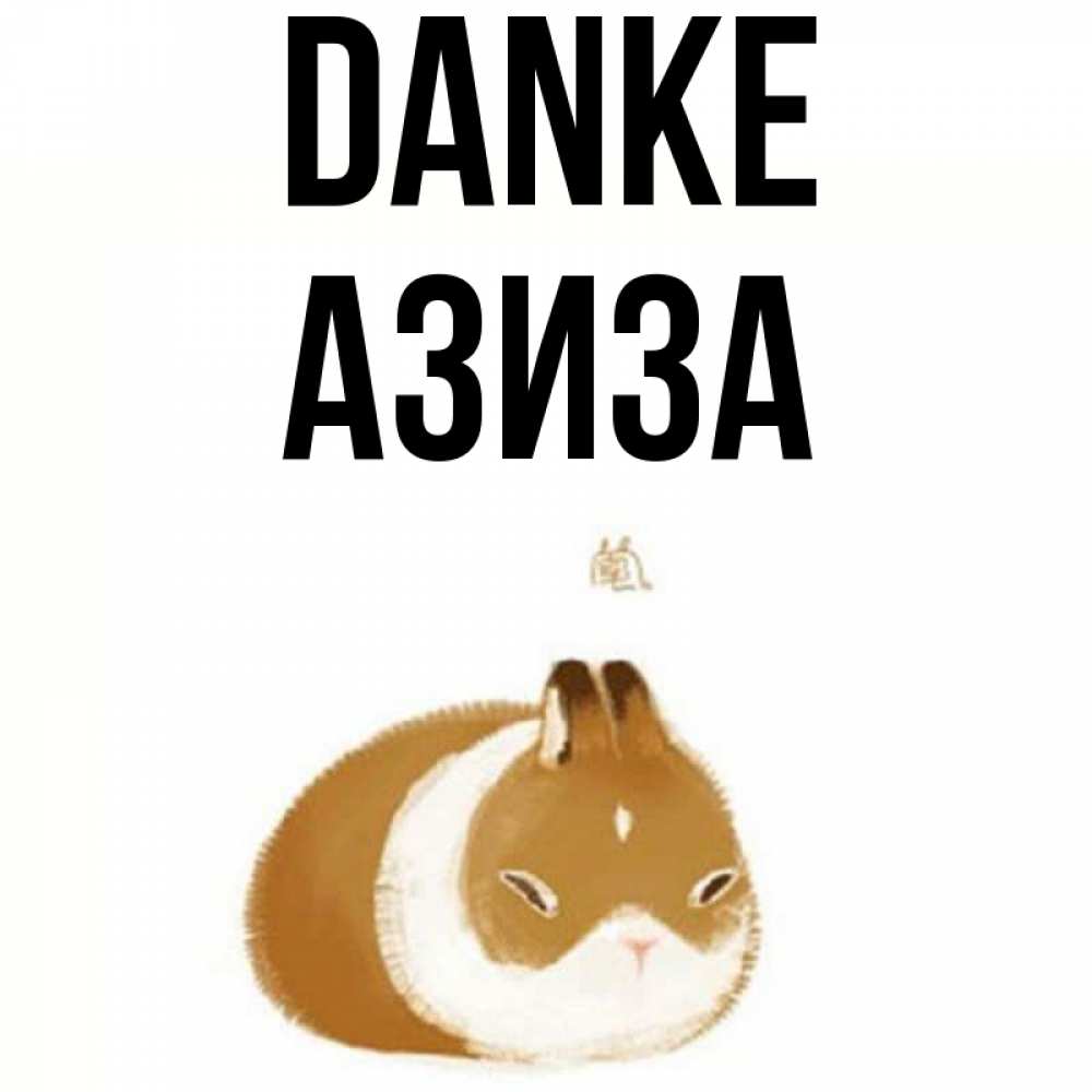 Открытка на каждый день с именем, Азиза Danke коричнево белый домашний питомец Прикольная открытка с пожеланием онлайн скачать бесплатно 