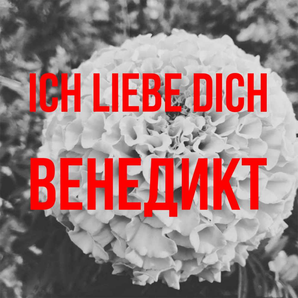 Открытка на каждый день с именем, Венедикт Ich liebe dich подпись Прикольная открытка с пожеланием онлайн скачать бесплатно 