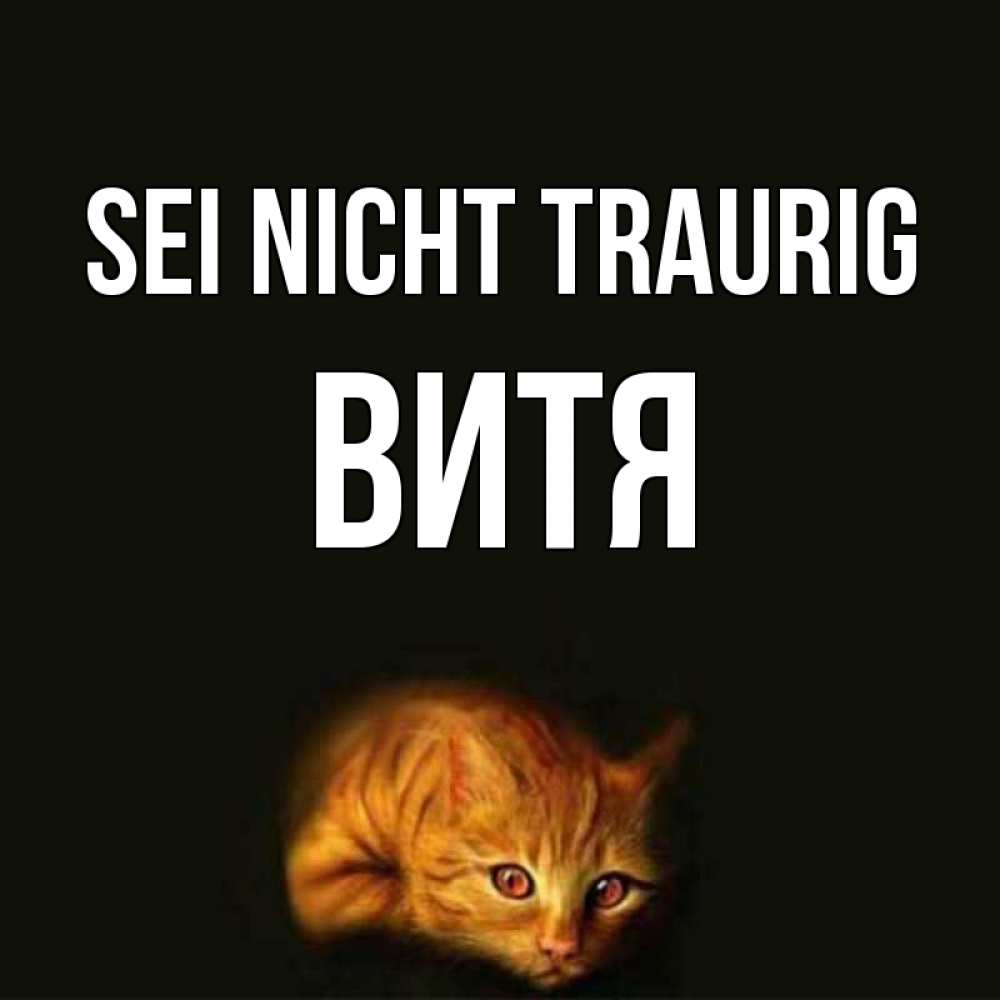 Открытка на каждый день с именем, Витя Sei nicht traurig лежащий кот в темноте Прикольная открытка с пожеланием онлайн скачать бесплатно 