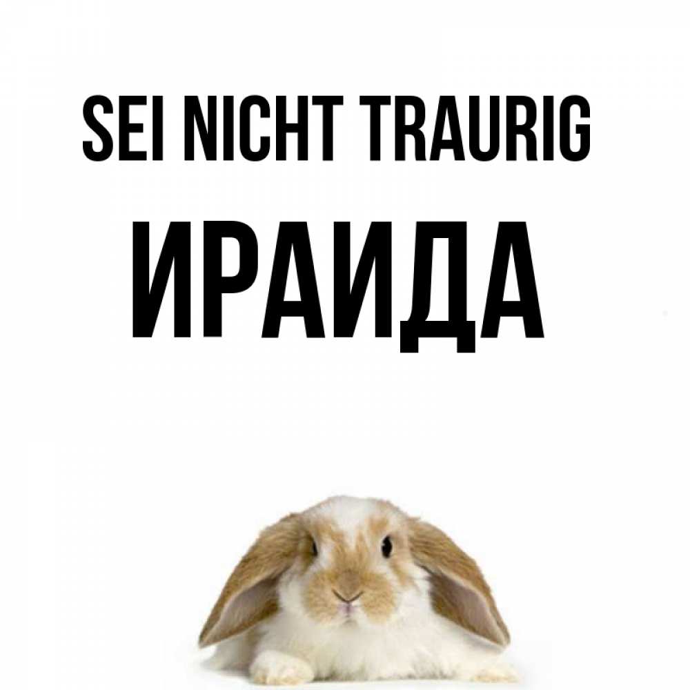 Открытка на каждый день с именем, Ираида Sei nicht traurig коричнево белый заяц с большими ушками Прикольная открытка с пожеланием онлайн скачать бесплатно 