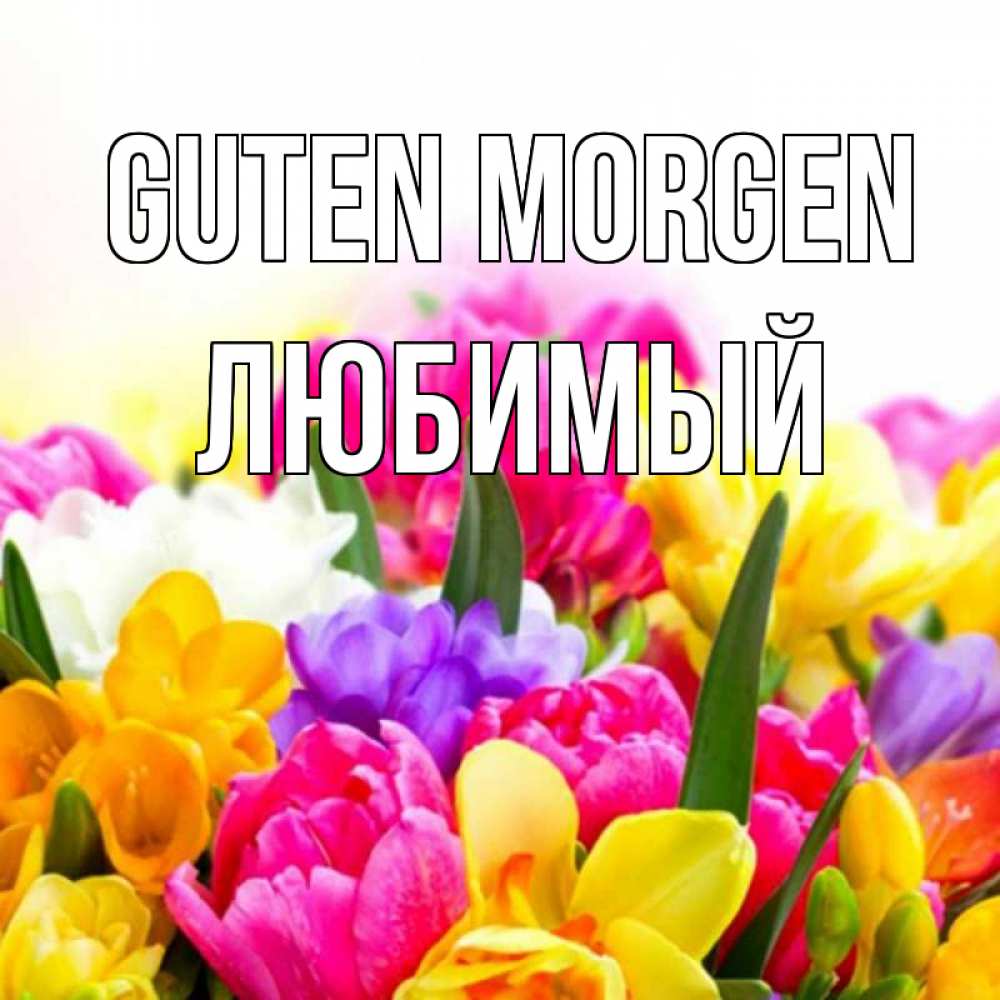 Открытка на каждый день с именем, Любимый Guten Morgen создать открытку со свое подписью Прикольная открытка с пожеланием онлайн скачать бесплатно 
