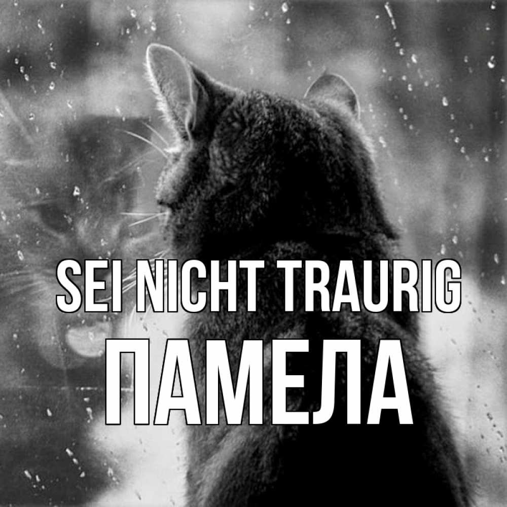 Открытка на каждый день с именем, Памела Sei nicht traurig отражение кота 1 Прикольная открытка с пожеланием онлайн скачать бесплатно 