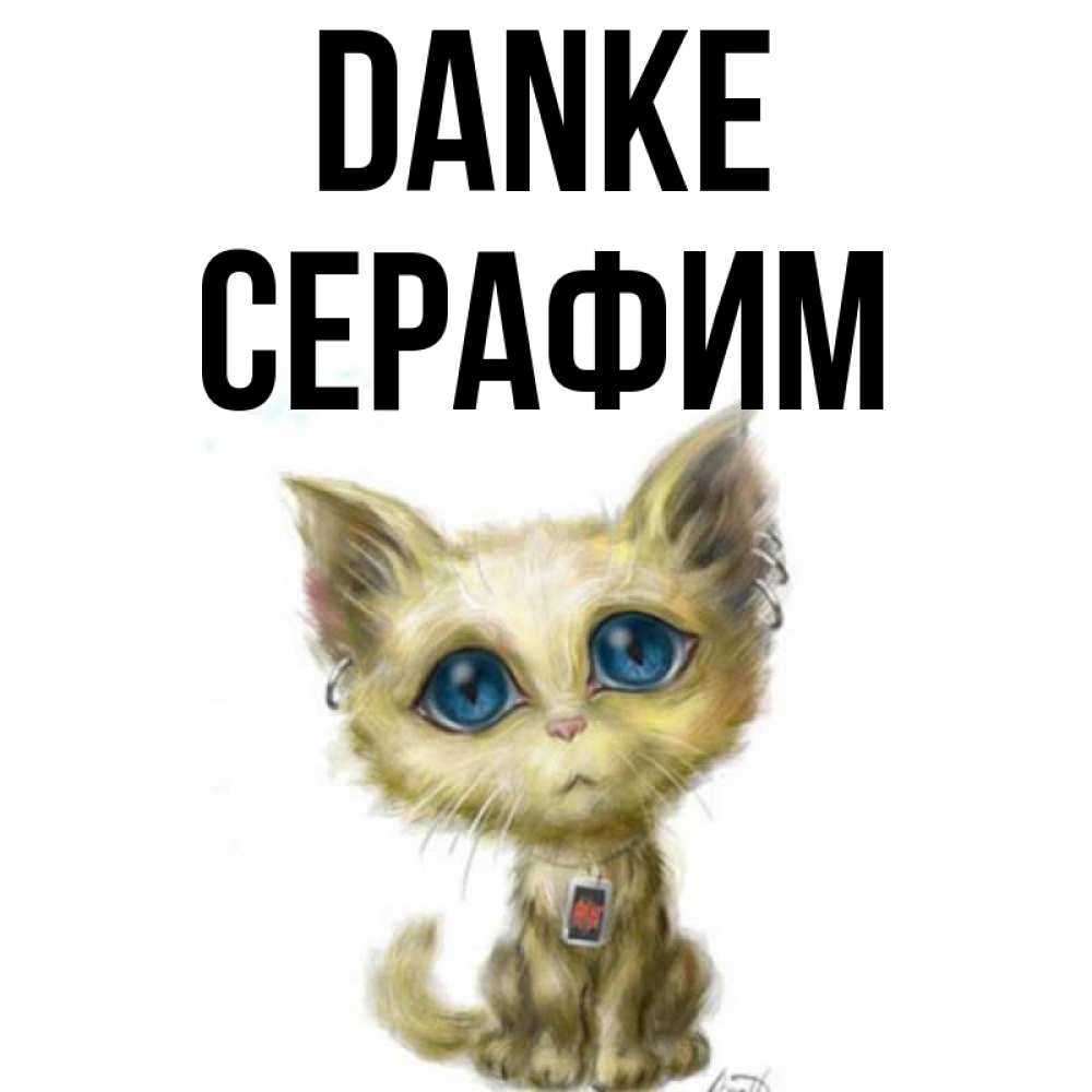 Открытка на каждый день с именем, Серафим Danke рисованный кот благодарит вас Прикольная открытка с пожеланием онлайн скачать бесплатно 