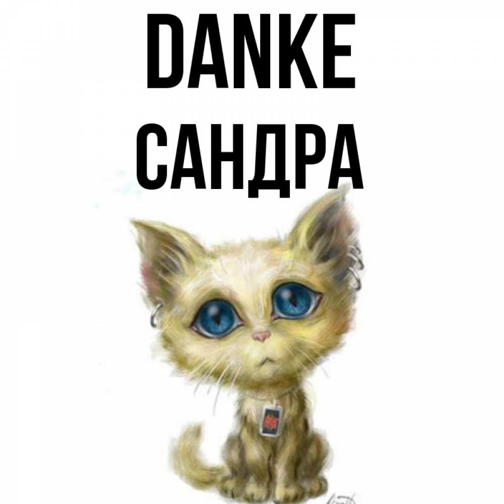 Открытка на каждый день с именем, Сандра Danke рисованный кот благодарит вас Прикольная открытка с пожеланием онлайн скачать бесплатно 